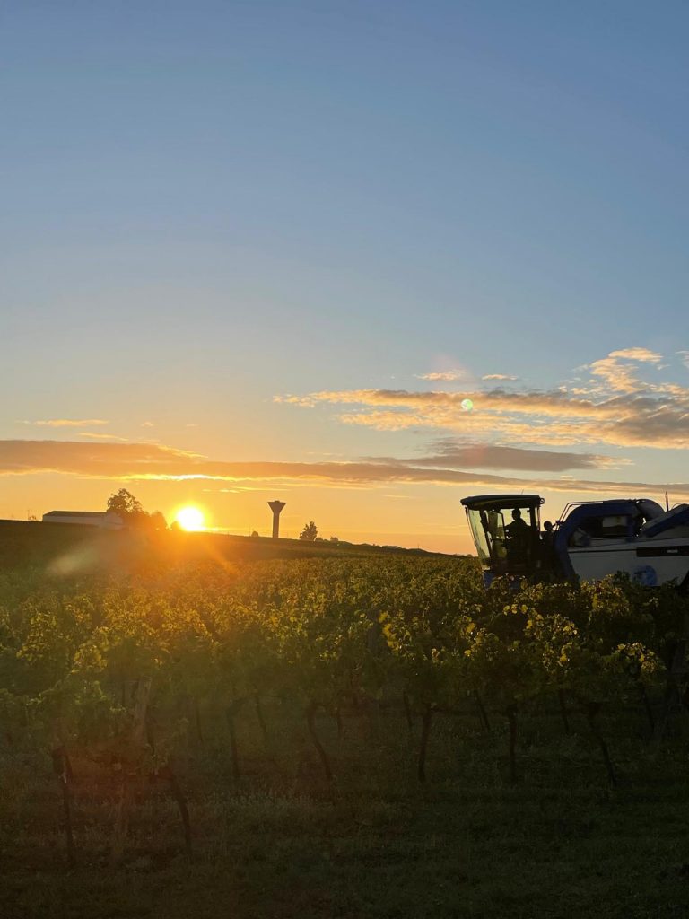 domaine-chateau-roc-de-levraut-ballarin-sauveterre-guyenne-coucher-soleil